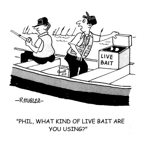 'Phil,what kind of live bait are you using?'