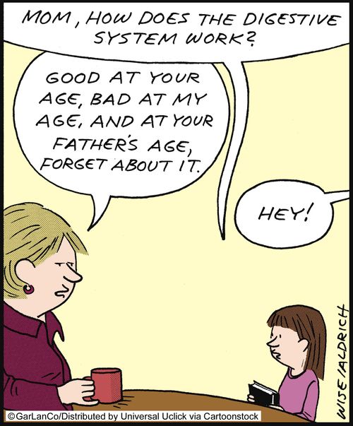 'Mom, how does the digestive system work?'