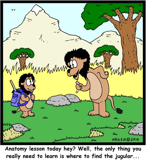 'Anatomy lesson today hey? Well, the only thing you really need to learn is where to find the jugular...'