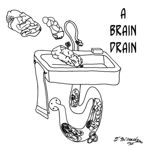 A Brain Drain