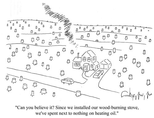 'Can you believe it? Since we installed our wood-burning stove, we've spent next to nothing on heating oil.'