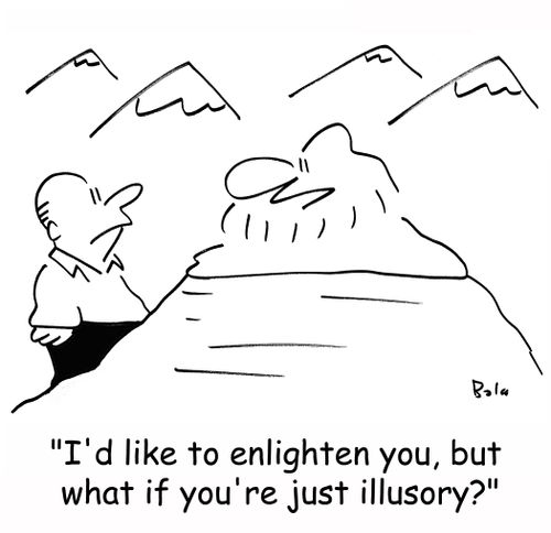 'I'd like to enlighten you, but what if you're just illusory?'