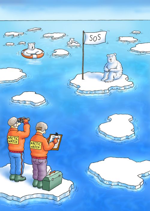Polar Bear SOS.
