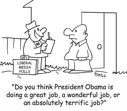 LIBERAL MEDIA POLLS, 'Do you think President Obama is doing a great job, a wonderful job, or an absolutely terrific job?'
