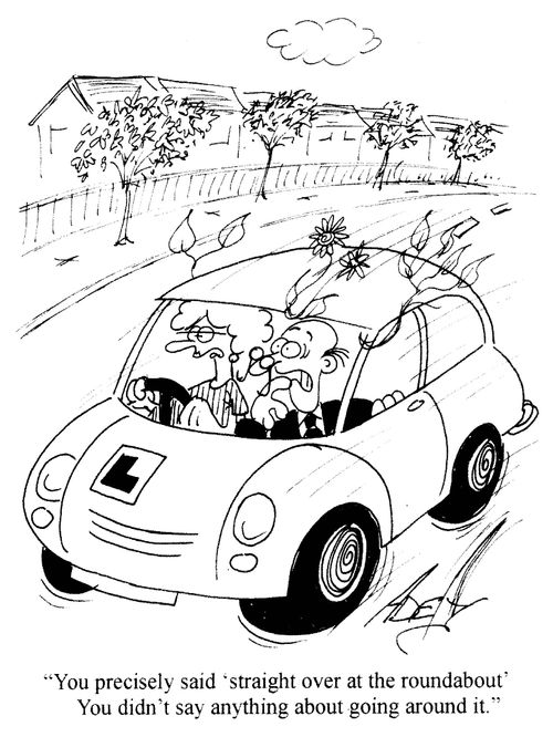 'You precisely said 'straight over at the roundabout'. You didn't say anything about going around it.'