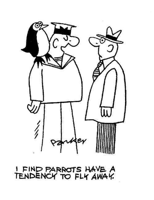 "I find parrots have a tendency to fly away"