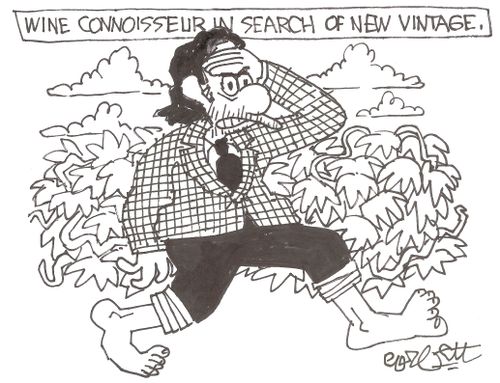 Wine connoisseur in search of new vintage.(Wine)