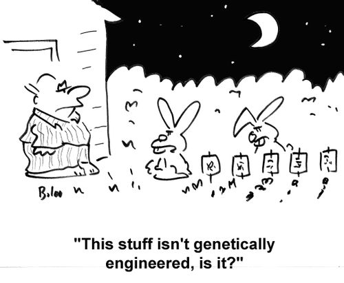 'This stuff isn't genetically engineered, is it?'