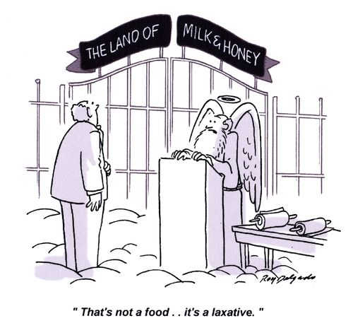 'That's not a food.. it's a laxative.'