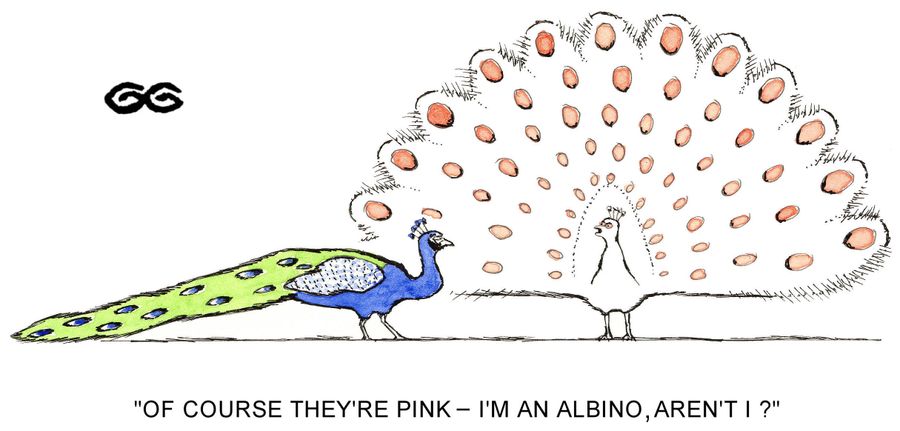 "Of course they're pink - I'm an albino, aren't I?"