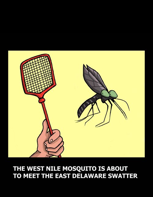 The West Nile Mosquito meets the East Delaware Swatter.