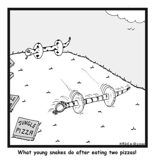 What Young Snakes do after Eating Two Pizzas
