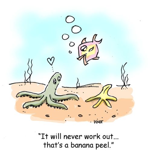 'It's will never work out...that's a banana peel.'