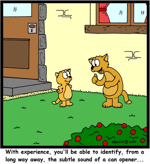 'With experience, you'll be able to identify, from a long way away, the subtle sound of a can opener...'