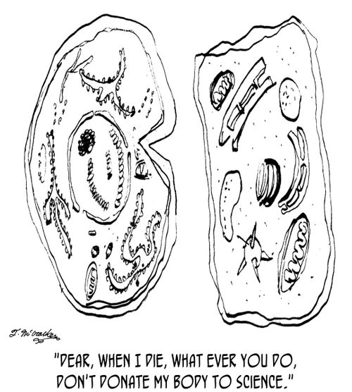 'Dear, when I die, what ever you do, don't donate my body to science.'