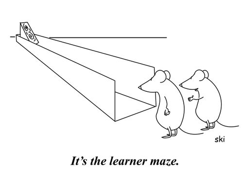 'It's the learner maze.'