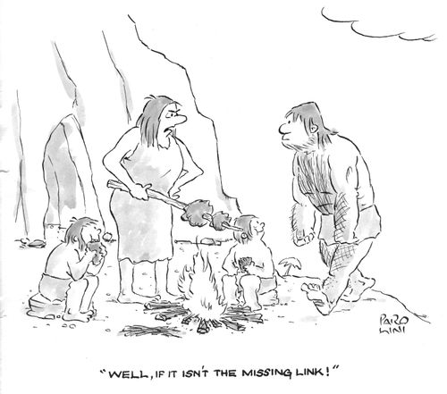 'Well, if it isn't the missing link!'
