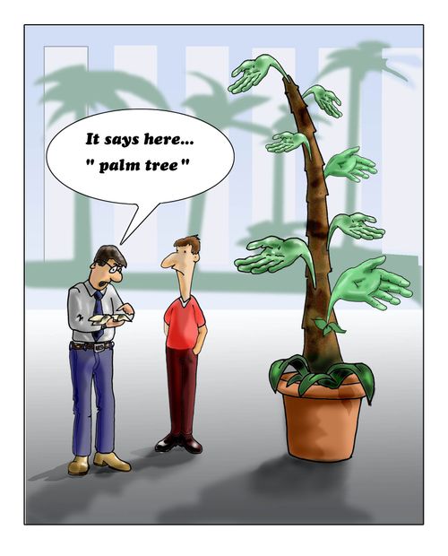 "It says here...'palm tree'." (portrait)