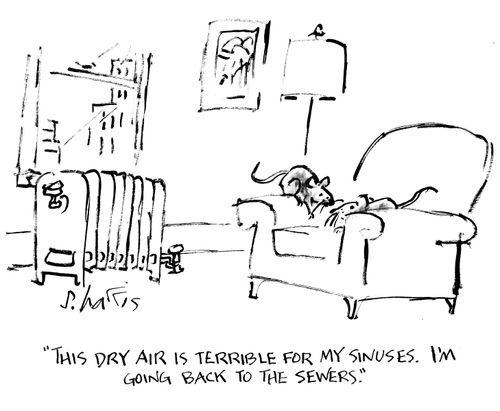 "This dry air is terrible for my sinuses. I'm going back to the sewers."