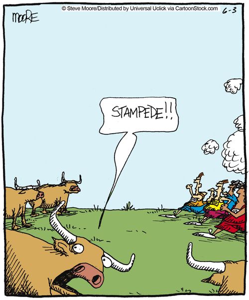 'Stampede!!'