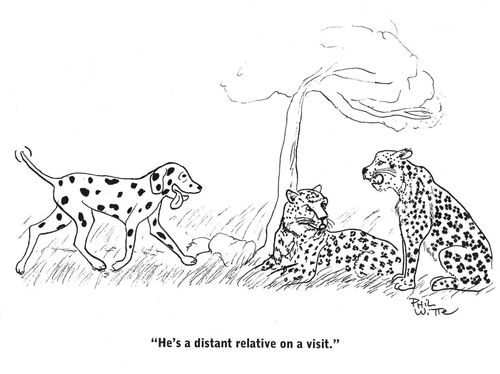 "He's a distant relative on a visit."