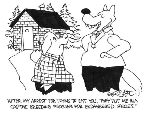 "After my arrest for trying to eat you, they put me in a captive breeding program."