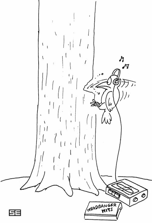 Headbanging Woodpecker.