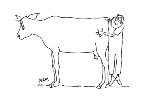 'Bovine Palpation'