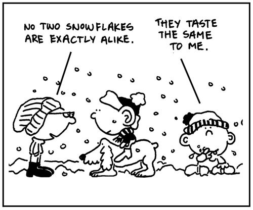 'No two snowflakes are exactly alike.' - 'They taste the same to me.'