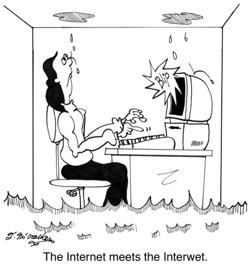 The Internet meets the Interwet.