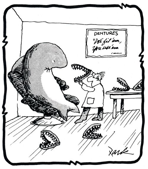 Dentures for a shark