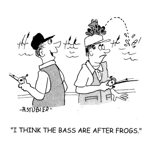 'I think the bass are after frogs.'