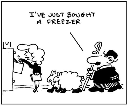 'I've just bought a freezer.'