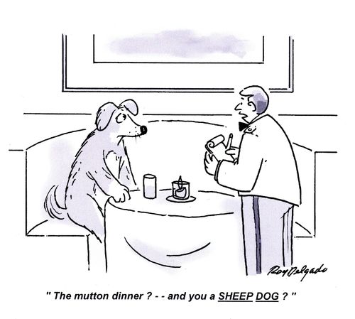 'The mutton dinner? -- and you a SHEEP DOG?'