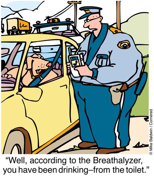 "Well according to the breathalyzer you have been drinking - from the toilet."