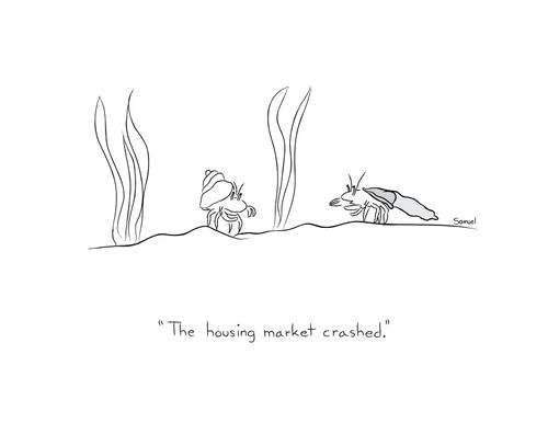 "The housing market crashed."