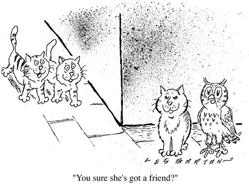 Owl and the Pussy Cat, "You sure she's got a friend ?"