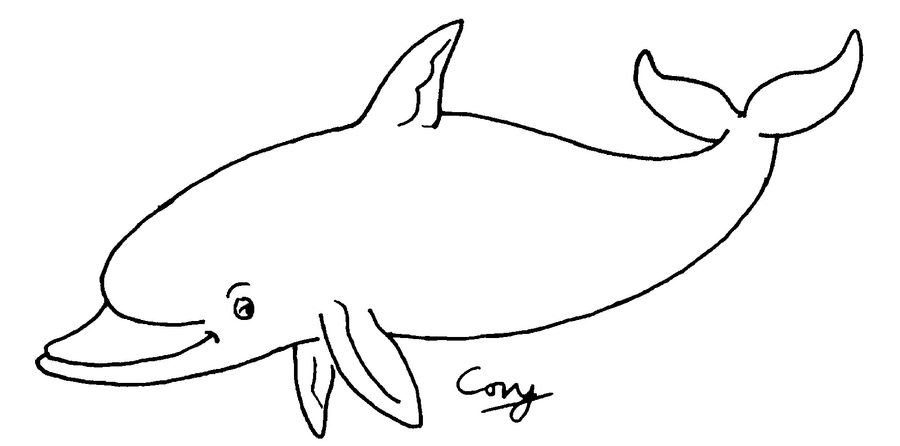 Dolphin