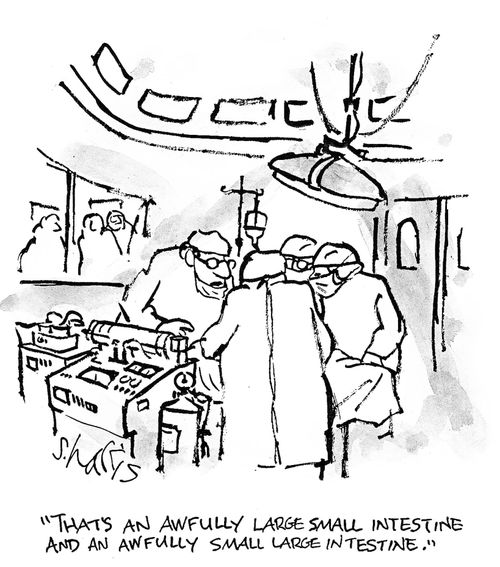 'That's an awfully large small intestine and an awfully small large intestine.'