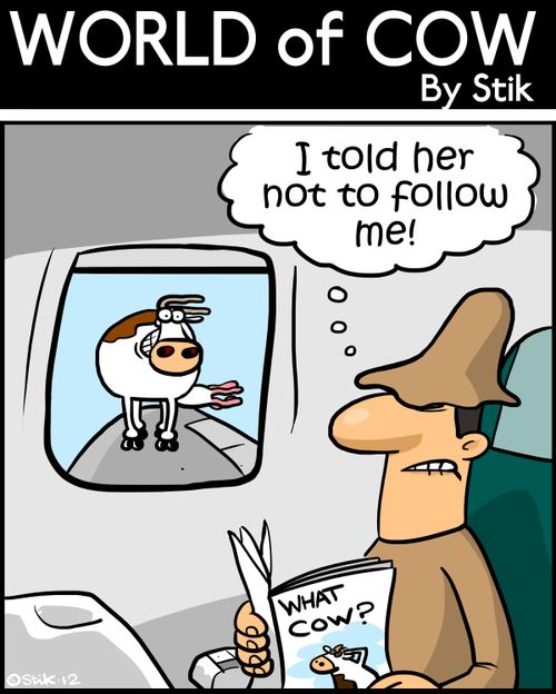 'I told her not to follow me!'
