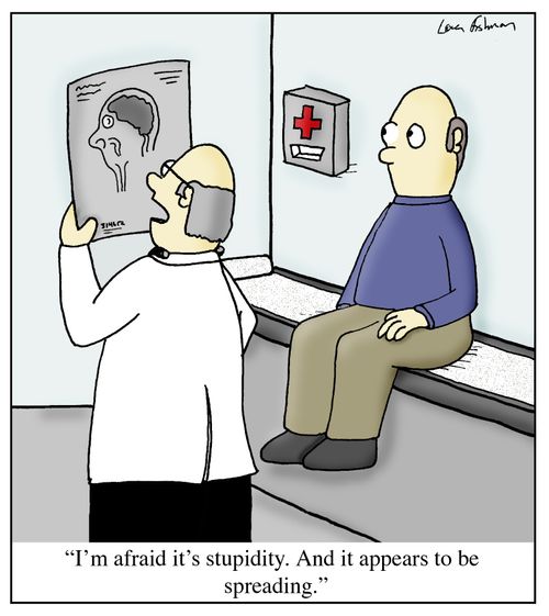 'I'm afraid it's stupidity. And it appears to be spreading.'