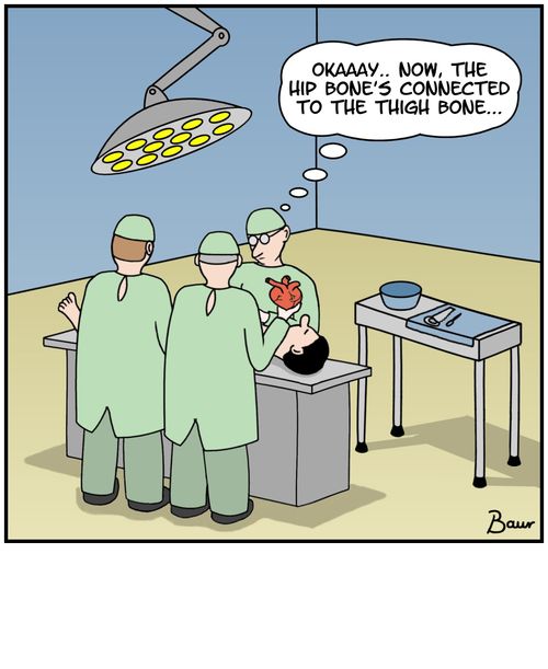 'Okaaay... Now, the hip bone's connected to the thigh bone...'
