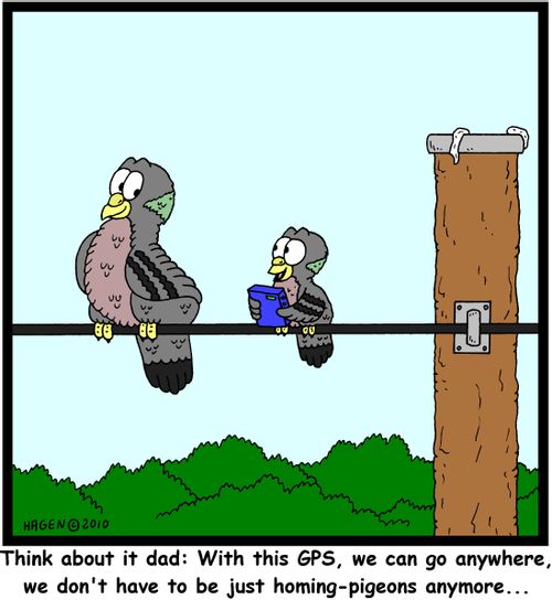 'Think about it dad: With this GPS, we can go anywhere, we don't have to be just homing-pigeons anymore...'