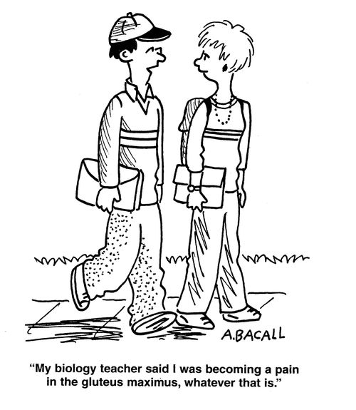 'My biology teacher said I was becoming a pain in the gluteus maximus, whatever that is.'