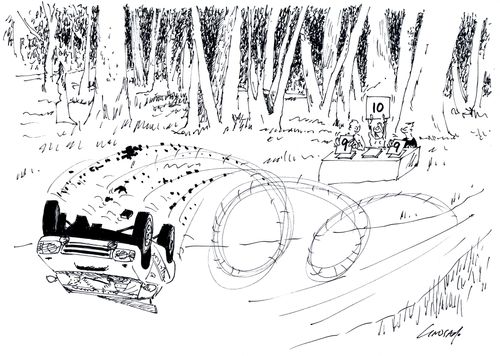 Rally Judges
