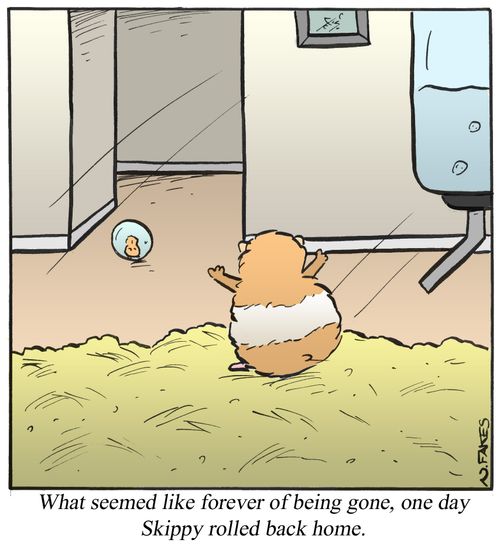 What seemed like forever of being gone, one day Skippy rolled back home.