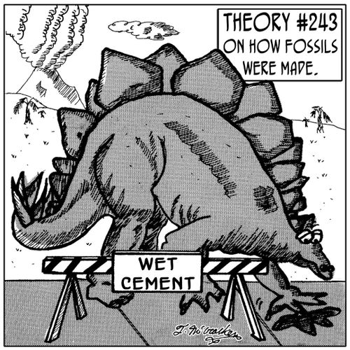 Theory #243 on how fossils were made.