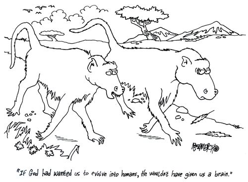 'If god had wanted us to evolve into humans, he wouldn't have given us a brain.'