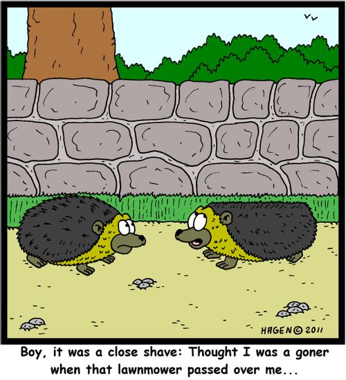 'Boy, it was a close shave: Thought I was a goner when that lawnmower passed over me...'