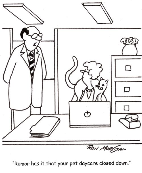 'Rumor has it that your pet daycare closed down.'